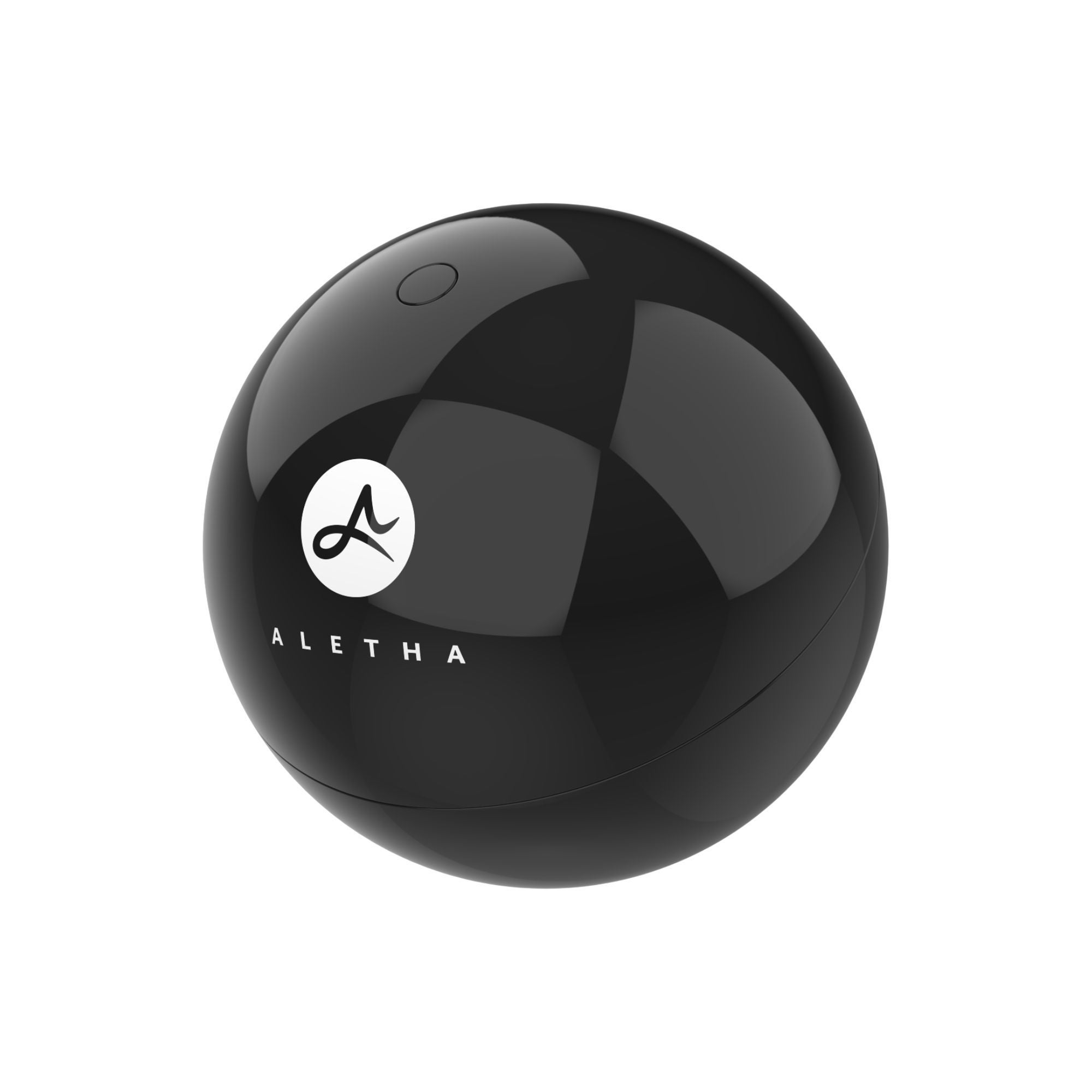 Aletha Inc - BALL_2BLK Hand-Held Massage Ball Aletha® 4 Inch Diameter
