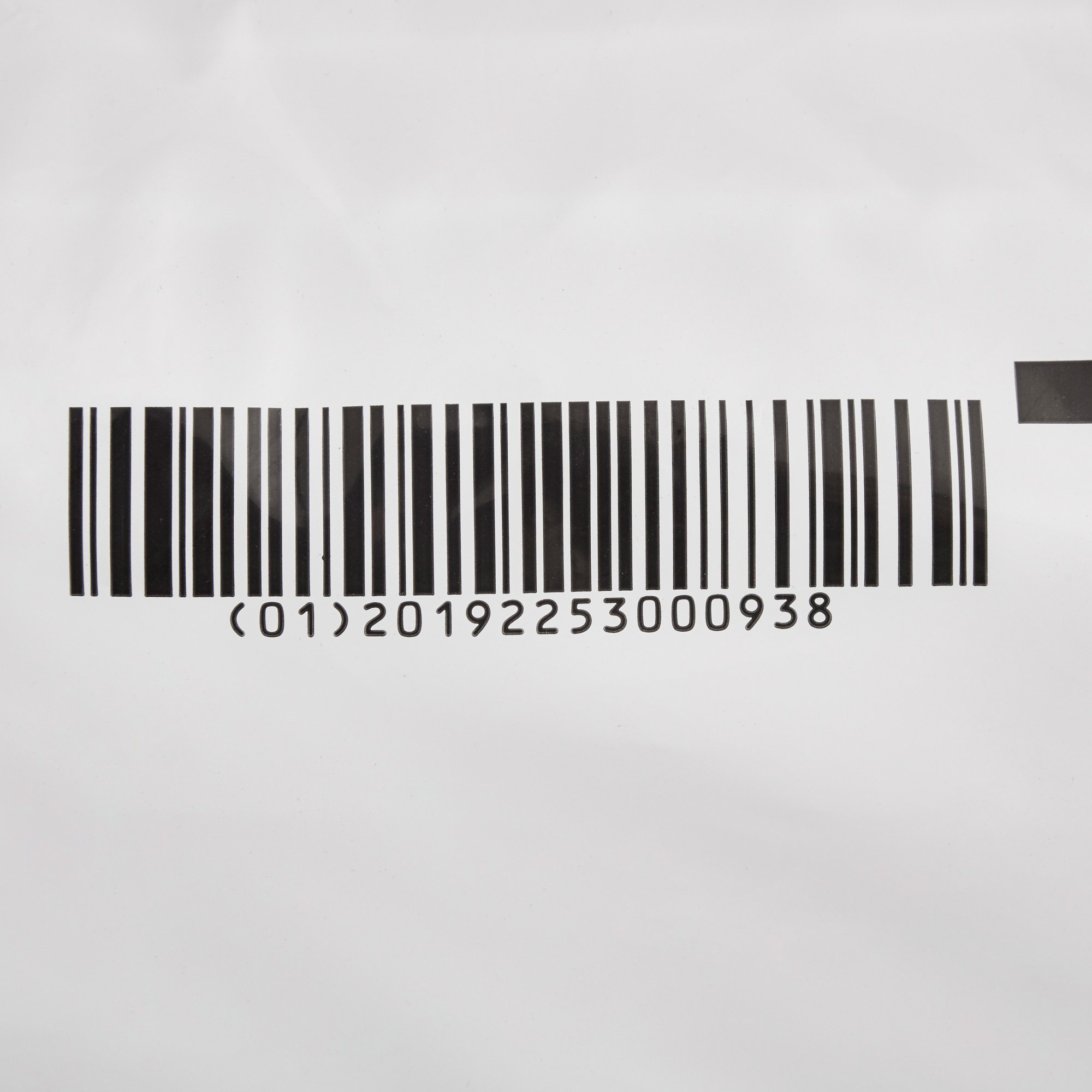  One Size Fits Most Adults
