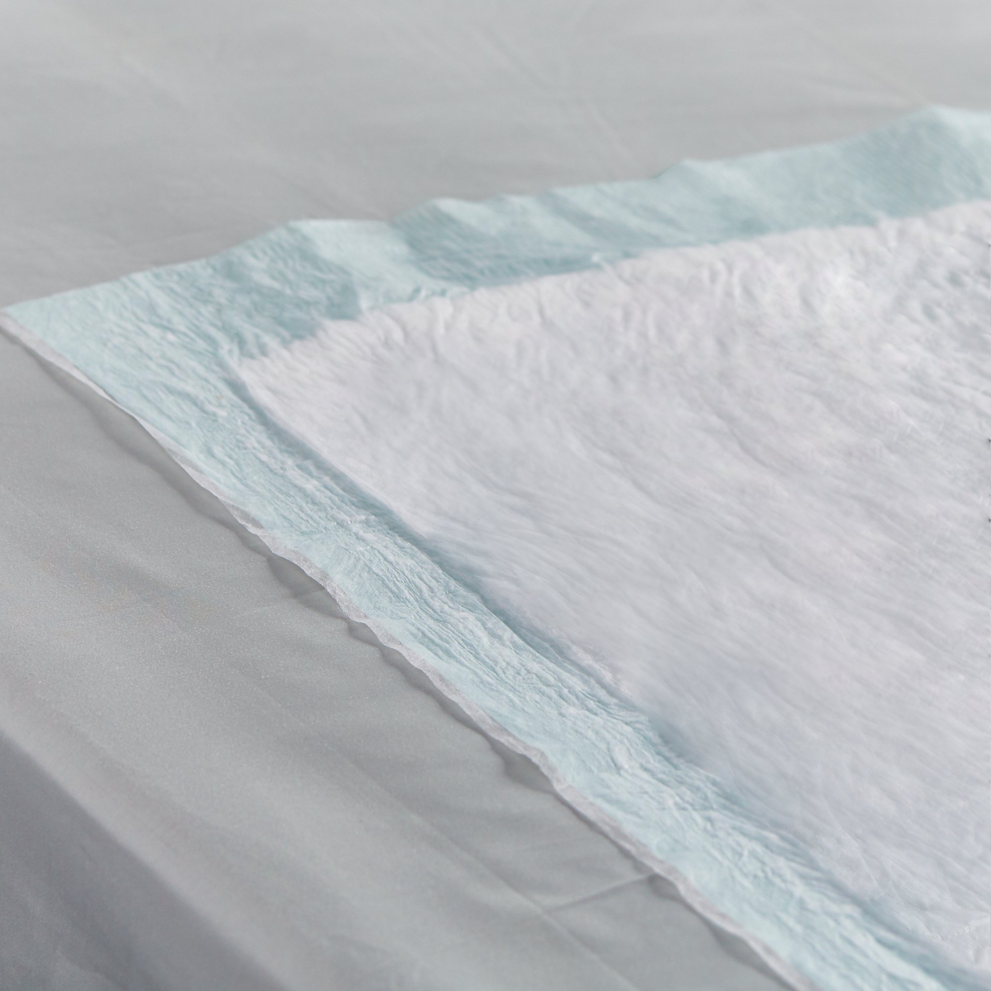 Cardinal - 958B10 Wings™ Plus Heavy Absorbency Underpads