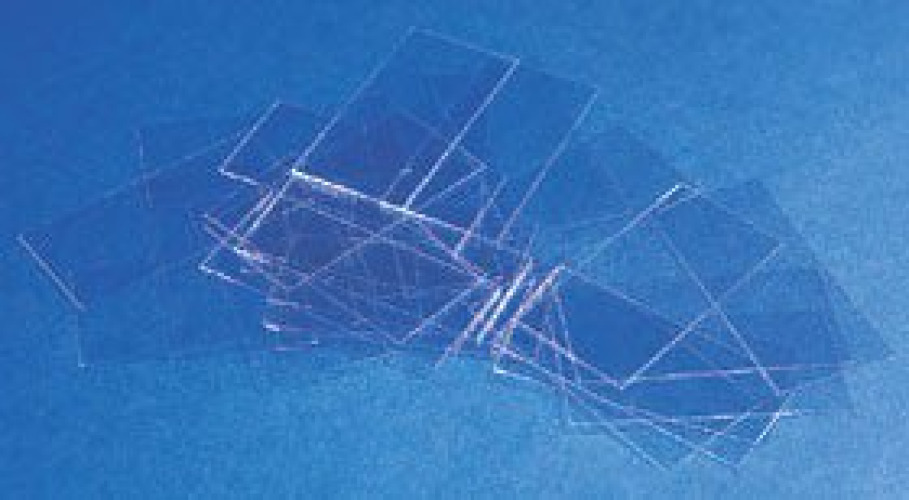 Erie Scientific - 24X60-2-001G Erie Scientific Cover Glass