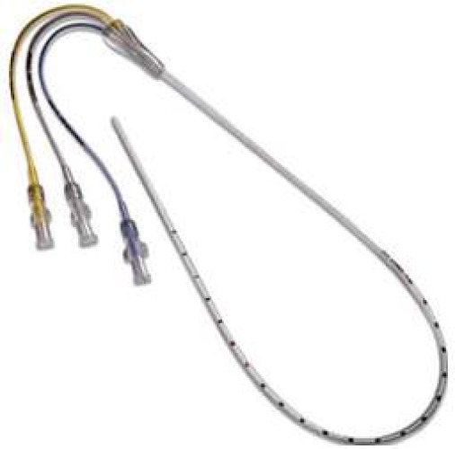 Cardinal - 8888160325 Umbilical Vessel Catheter Argyle™ 2.5 Fr. 12 Inch Length Single Lumen