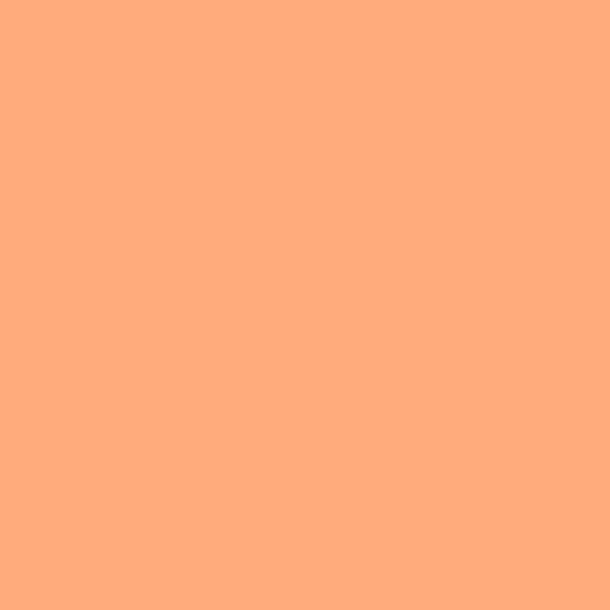 Solventum Corporation - 82002W 3M™ Scotchcast™ Plus Bright Orange Cast Tape