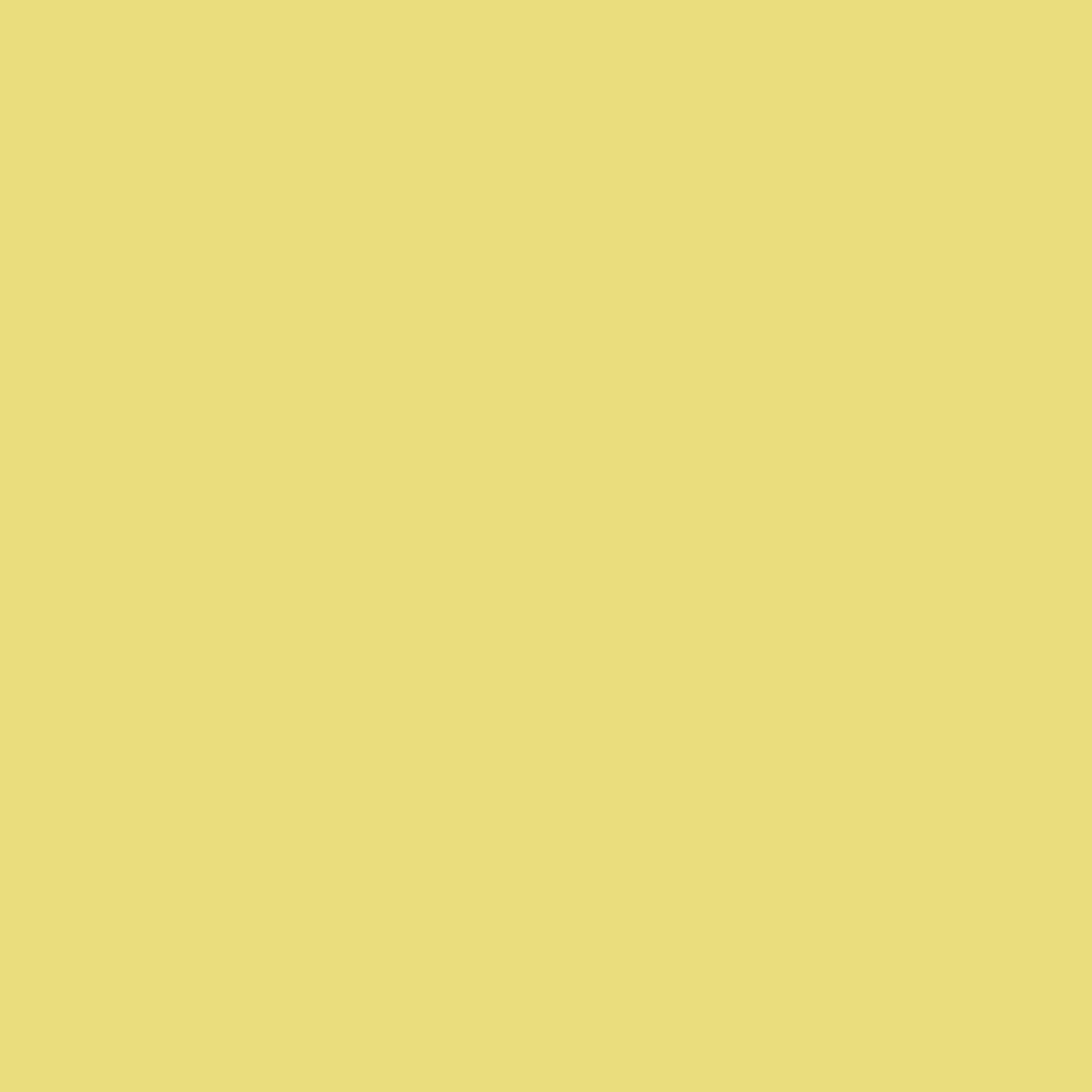  2 Inch x 4 Yard