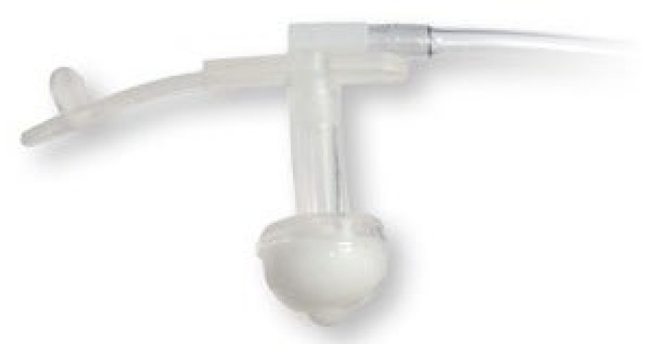Bard Peripheral Vascular - 000259 Gastrostomy Feeding Tube Bard® 24 Fr. 10 Inch Tube NonSterile