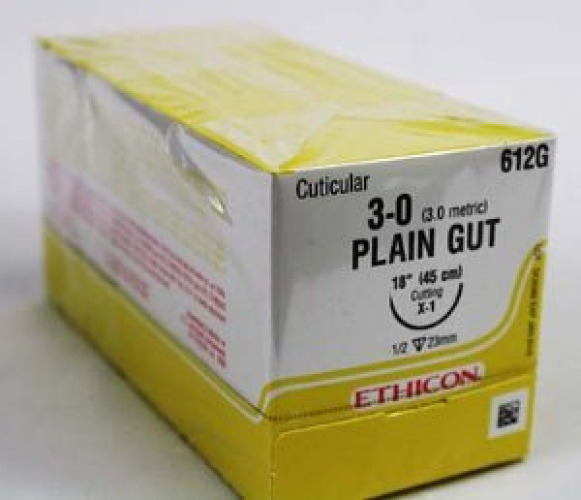 J & J Healthcare Systems - 612G Absorbable Suture with Needle GUT PLAIN Plain Gut X-1 1/2 Circle Reverse Cutting Needle Size 3-0 Monofilament