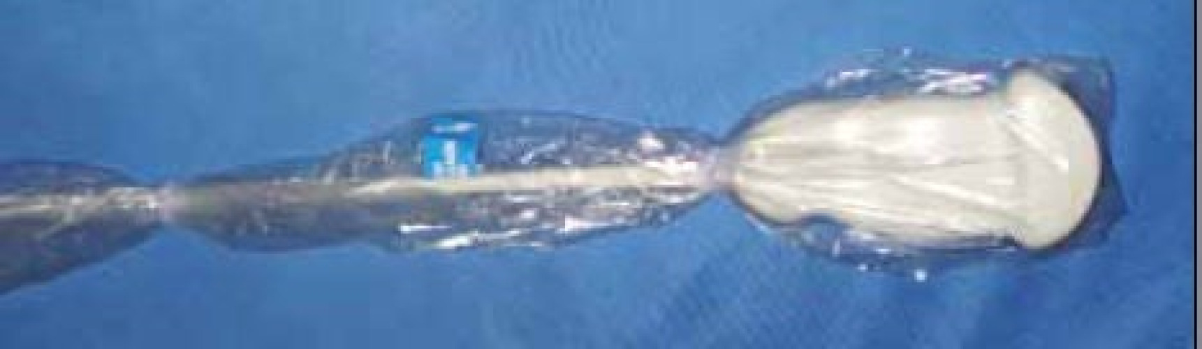 Preferred Medical Products - PC-0572-TF Probe Cover 72 L X 5 W Inch