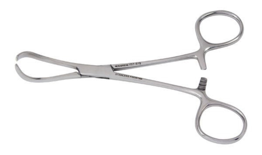 Integra Lifesciences - V97-515 Towel Clamp Vantage® Lorna 5-1/4 Inch Length Stainless Steel
