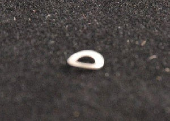 Welch Allyn - 203009 Spring Washer Lens Holder For use with Otoscopes
