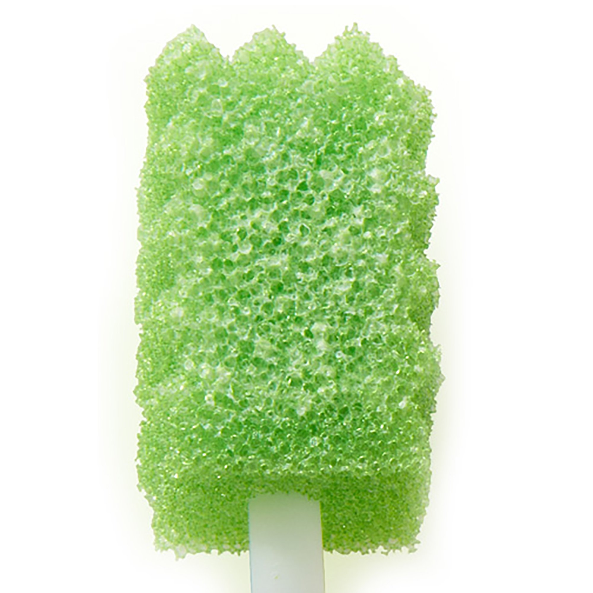 Sage Products - 6070 Toothette Plus Oral Swabsticks Foam Tip Untreated