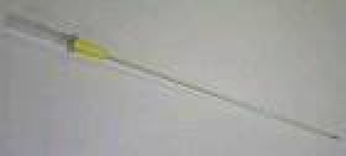 BD - 382268 Angiocath™ Peripheral IV Catheter