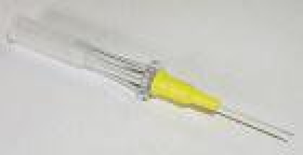 BD - 381164 Angiocath™ Peripheral IV Catheter