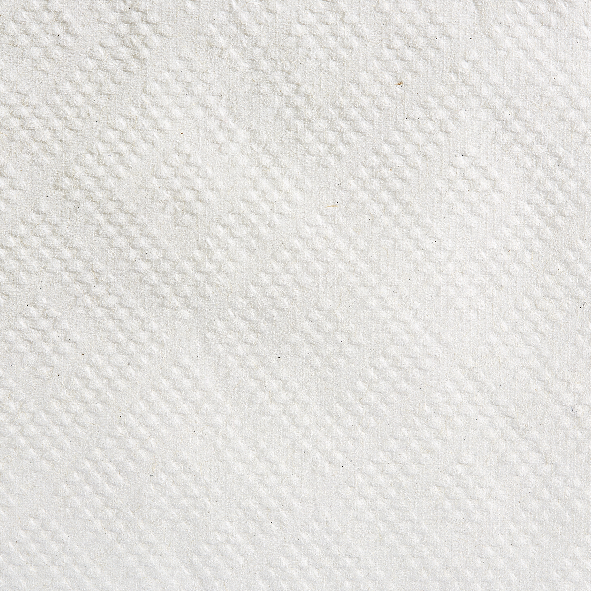 Georgia-Pacific Consumer Products LP - 28706 Pacific Blue Basic™ White Paper Towel