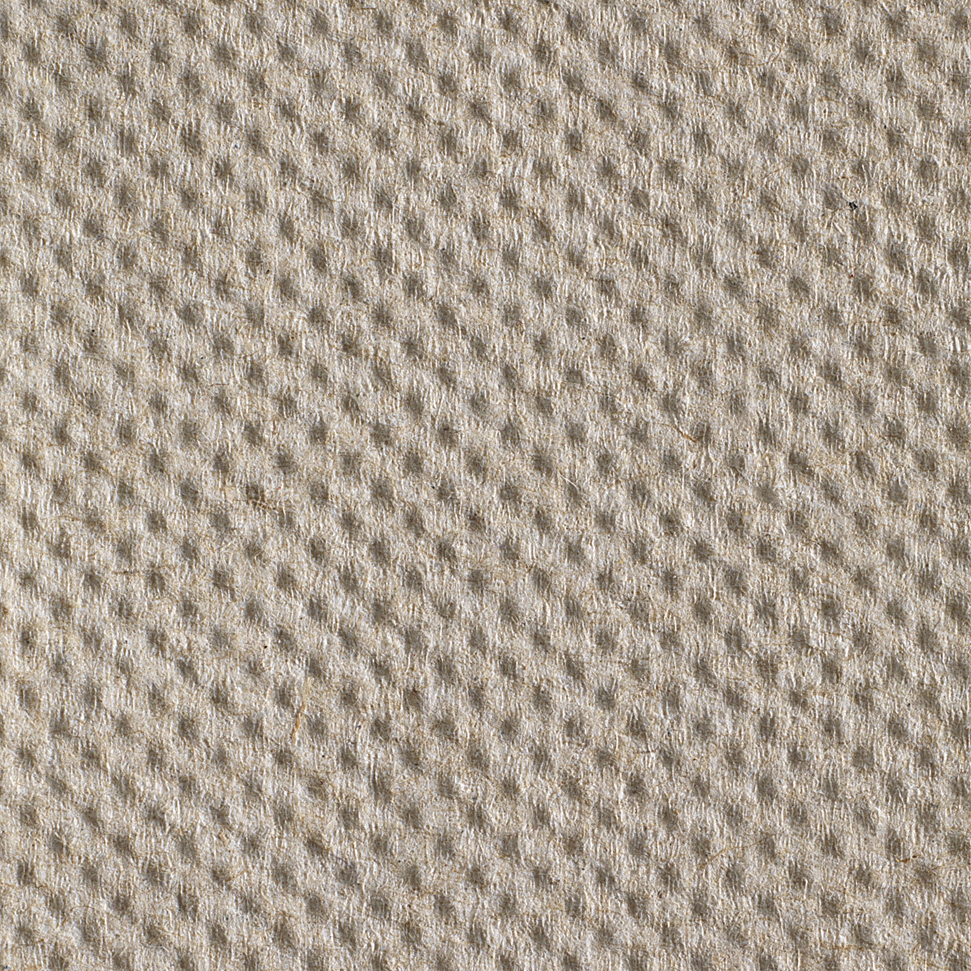 Georgia-Pacific Consumer Products LP - 26301 Pacific Blue Basic™ Brown Paper Towel