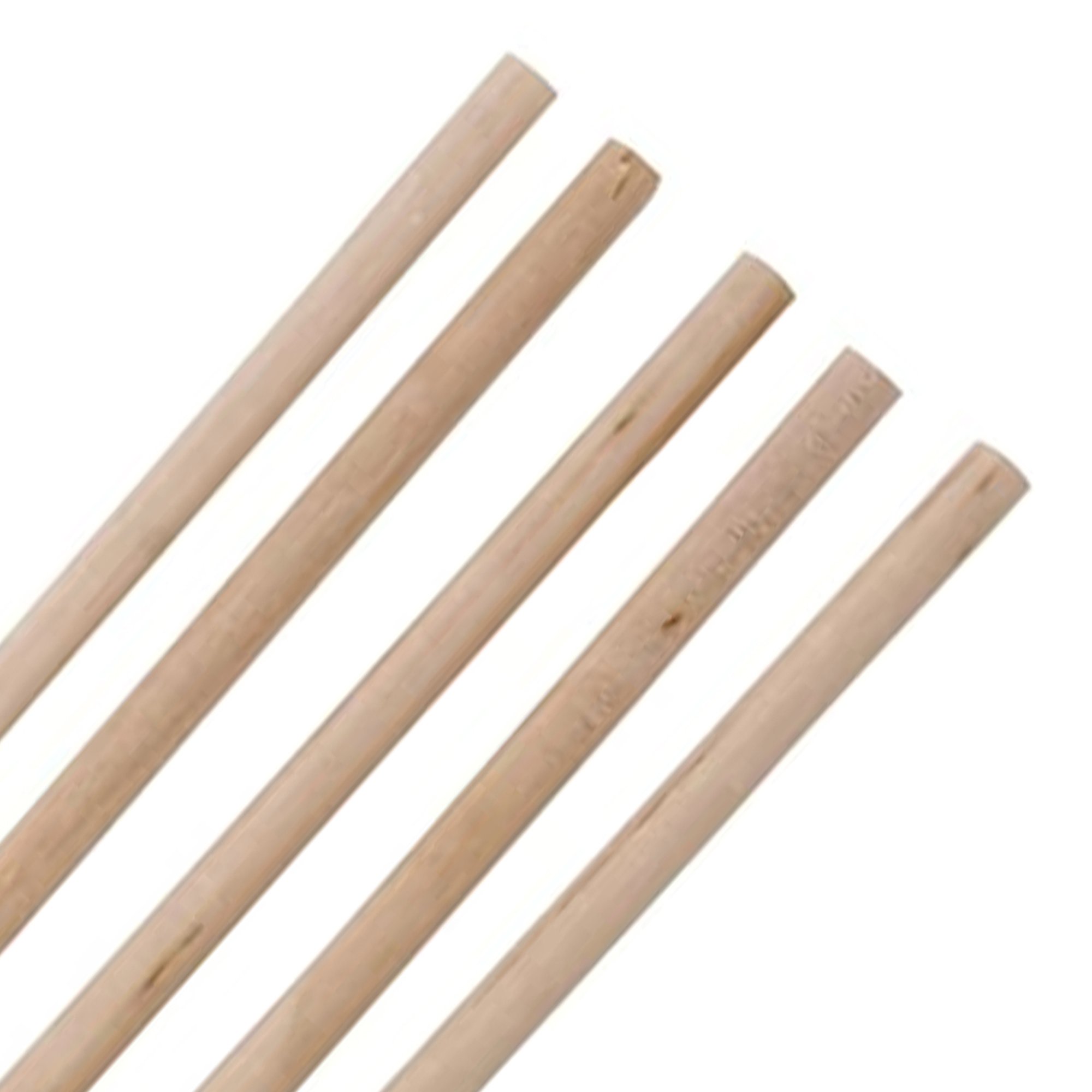  6-Inch Length