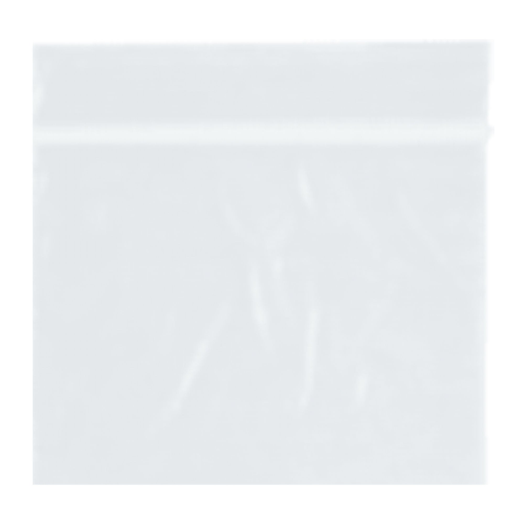 ASP Global LLC - A12 RD Plastics Company Reclosable Zip Bags