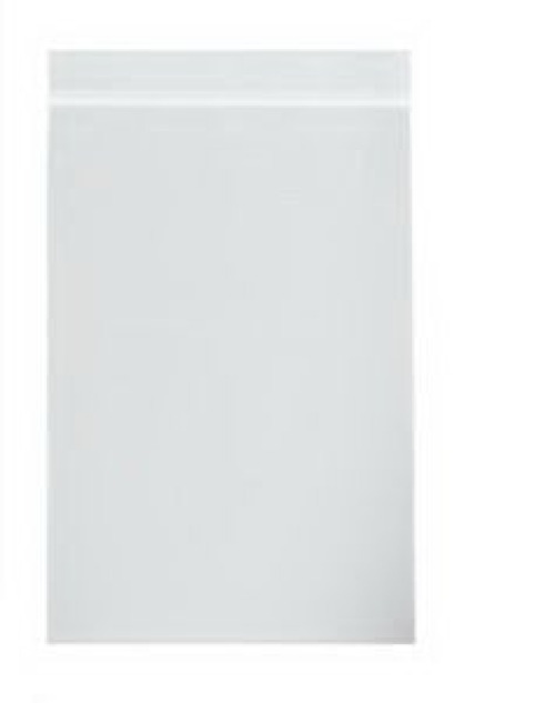 ASP Global LLC - C19 Reclosable Bag 6 X 6 Inch Plastic Clear Zipper Closure