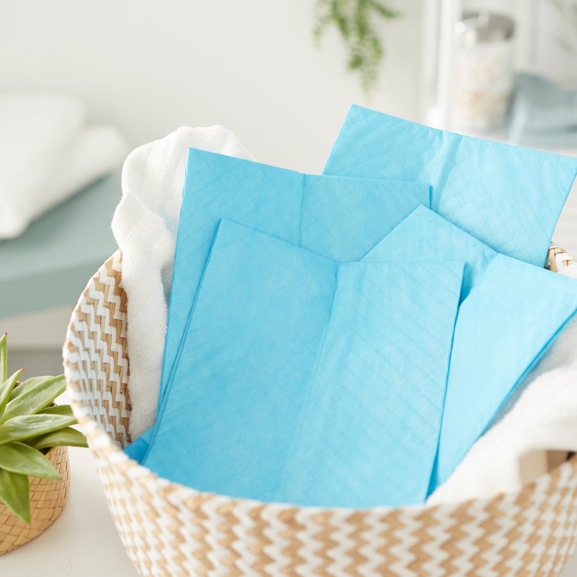 Attends Healthcare Products - UFS-170 Attends® Care Dri-Sorb® Underpads