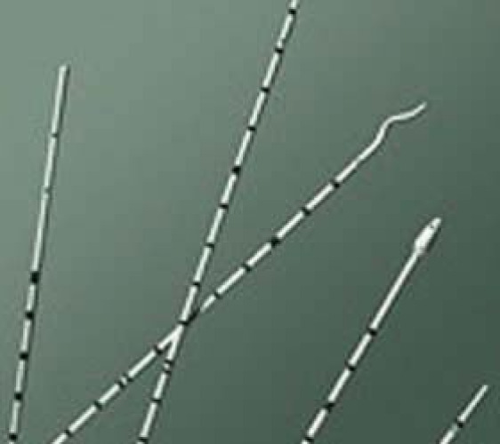 Bard - 137505 Ureteral Catheter Bard® Spiral Tip Polyurethane 5 Fr. 28 Inch Length