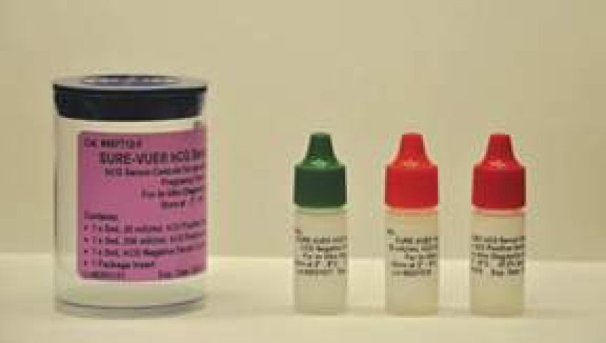 Fisher Anatomical SA087413 - Sure-Vue® Urine hCG Control - 3/Pack