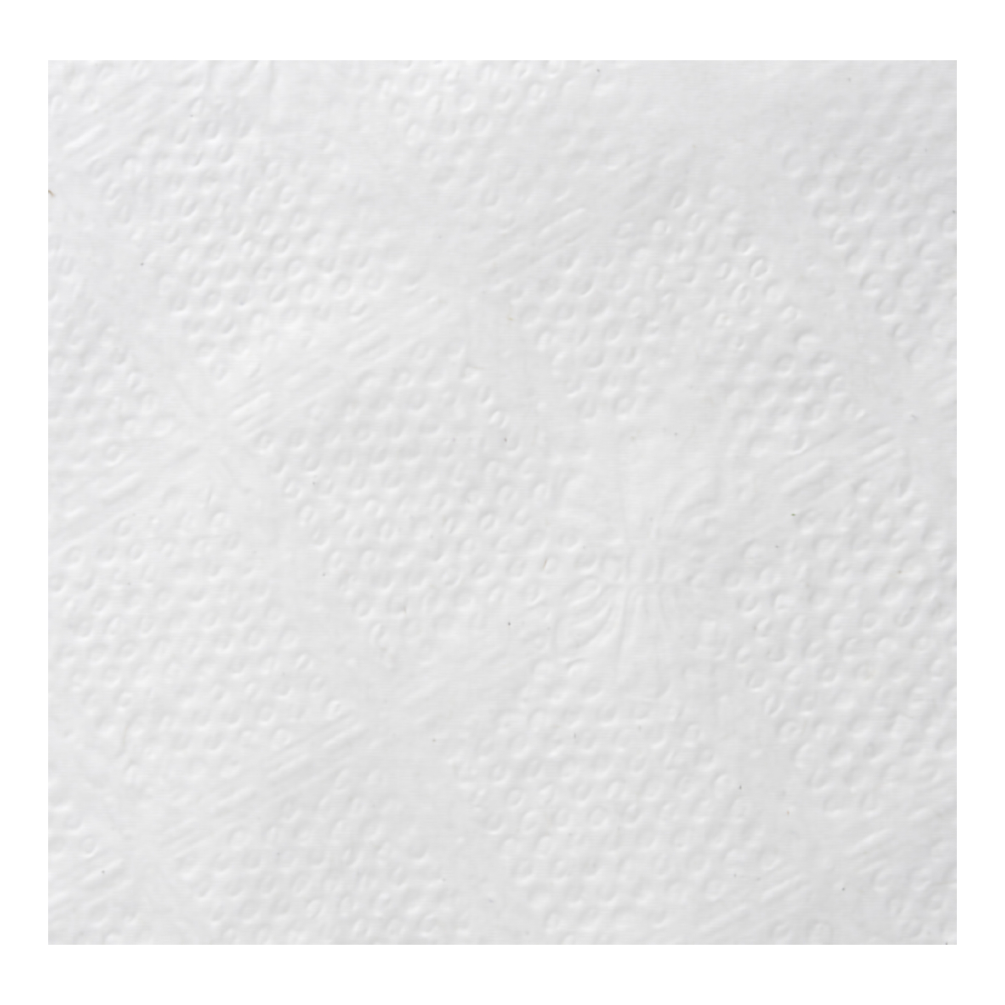 Georgia-Pacific Consumer Products LP - 37707 Dixie® Luncheon Napkin