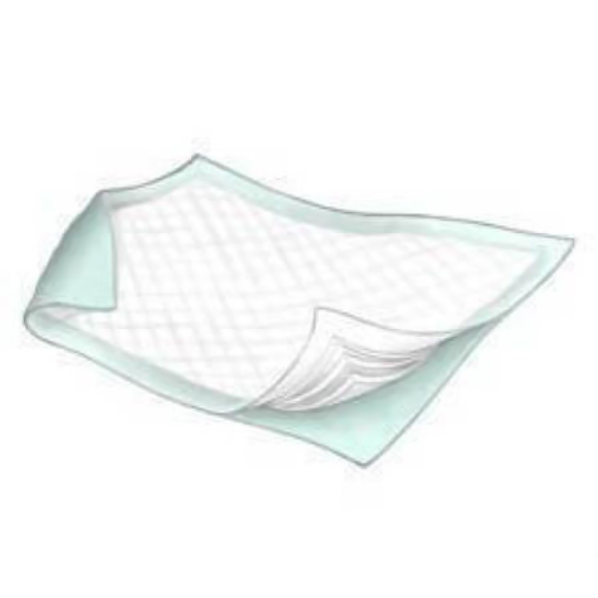 Griffin Care - 18346 Economy Underpad