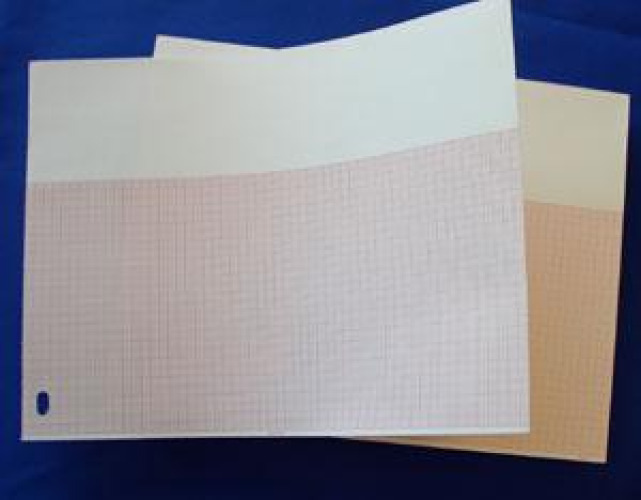 Cardinal - 9031 Recording Chart Paper Kendall™ Z-Fold Red Grid