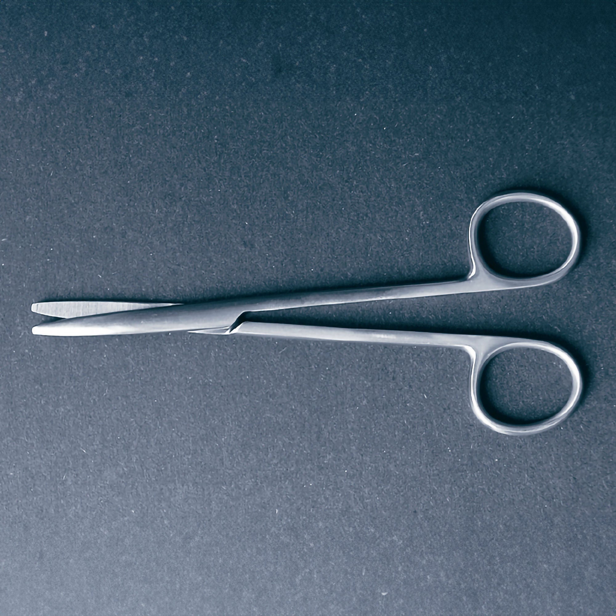 McKesson Brand - 43-1-339 McKesson Argent™ Dissecting Scissors