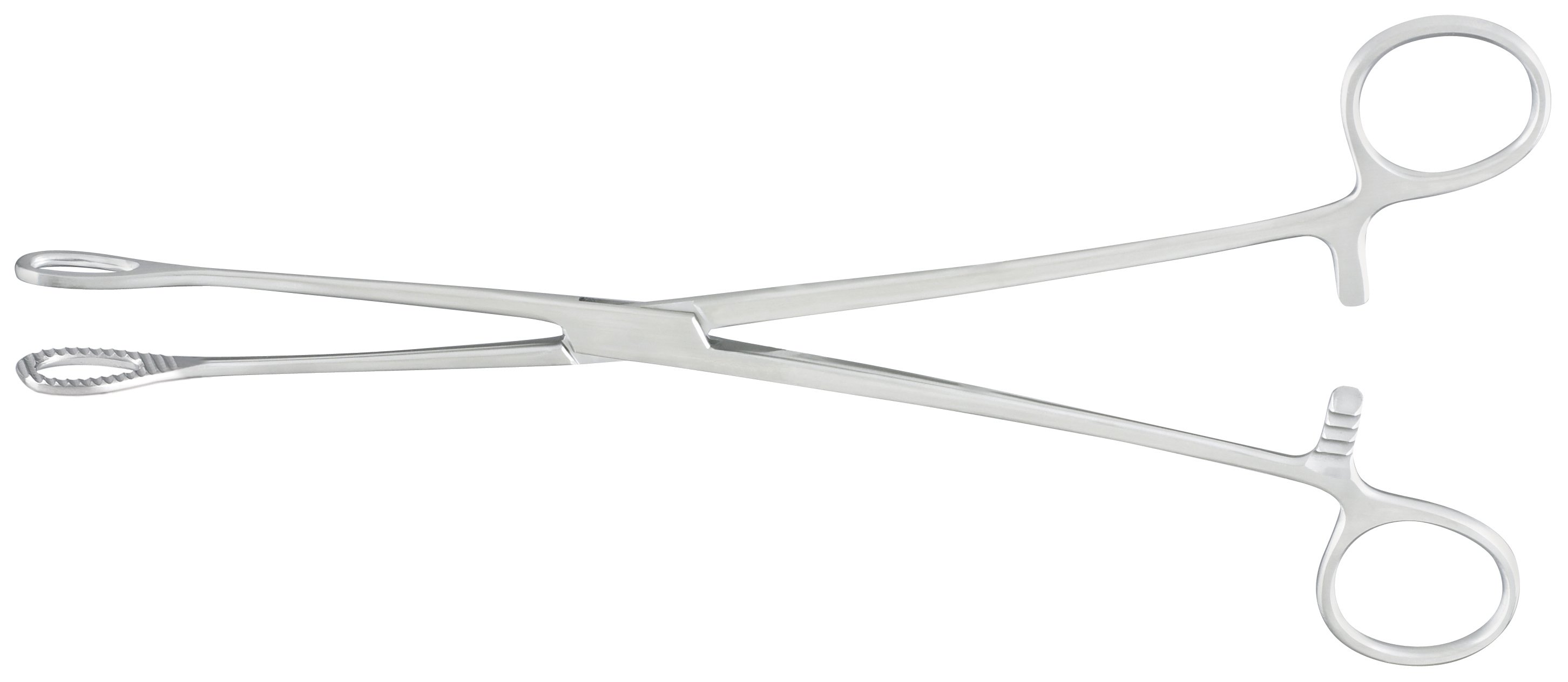 McKesson Brand 43-1-577 - McKesson Argent™ Sponge Forceps - 1/Each