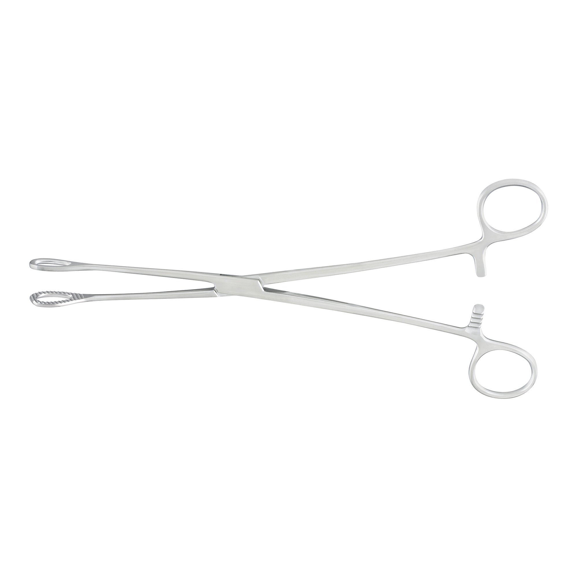 McKesson Brand - 43-1-577 McKesson Argent™ Sponge Forceps