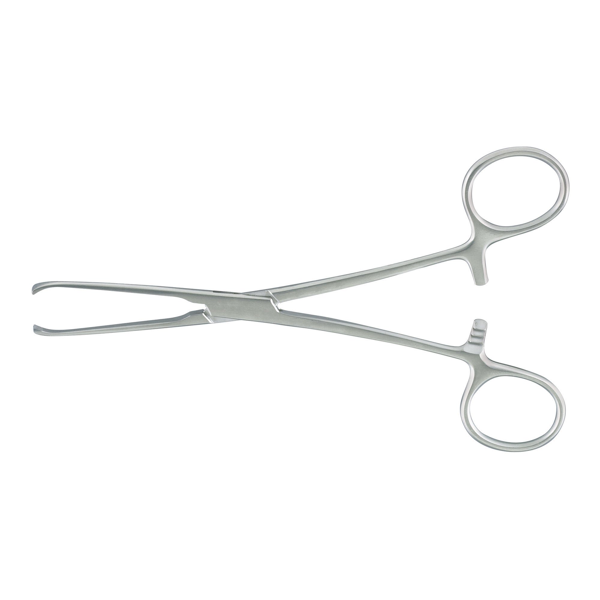 McKesson Brand - 43-1-934 Tissue Forceps McKesson Argent™ Allis 6 Inch Length OR / Surgical Grade German Stainless Steel NonSterile Locking Finger Ring Handle Straight 5 X 6 Teeth