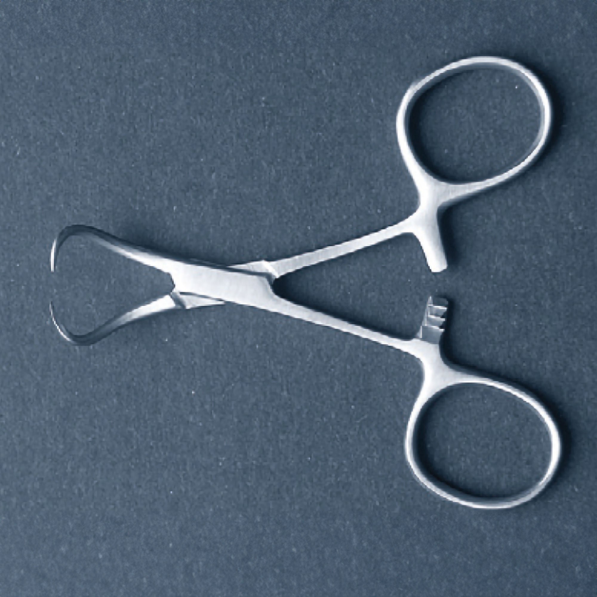 McKesson Brand - 43-2-611 McKesson Towel Clamp
