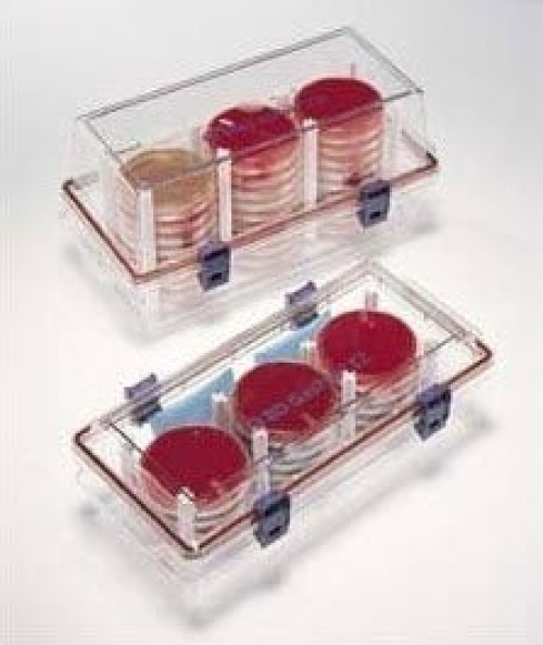 BD - 260679 GasPak™ EZ CO2 Container System Sachet For EZ Container System