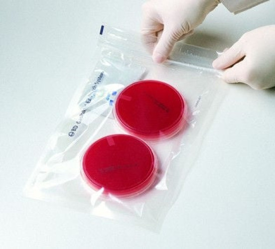 BD - 260683 BD Gaspak™ Anaerobe Pouch System