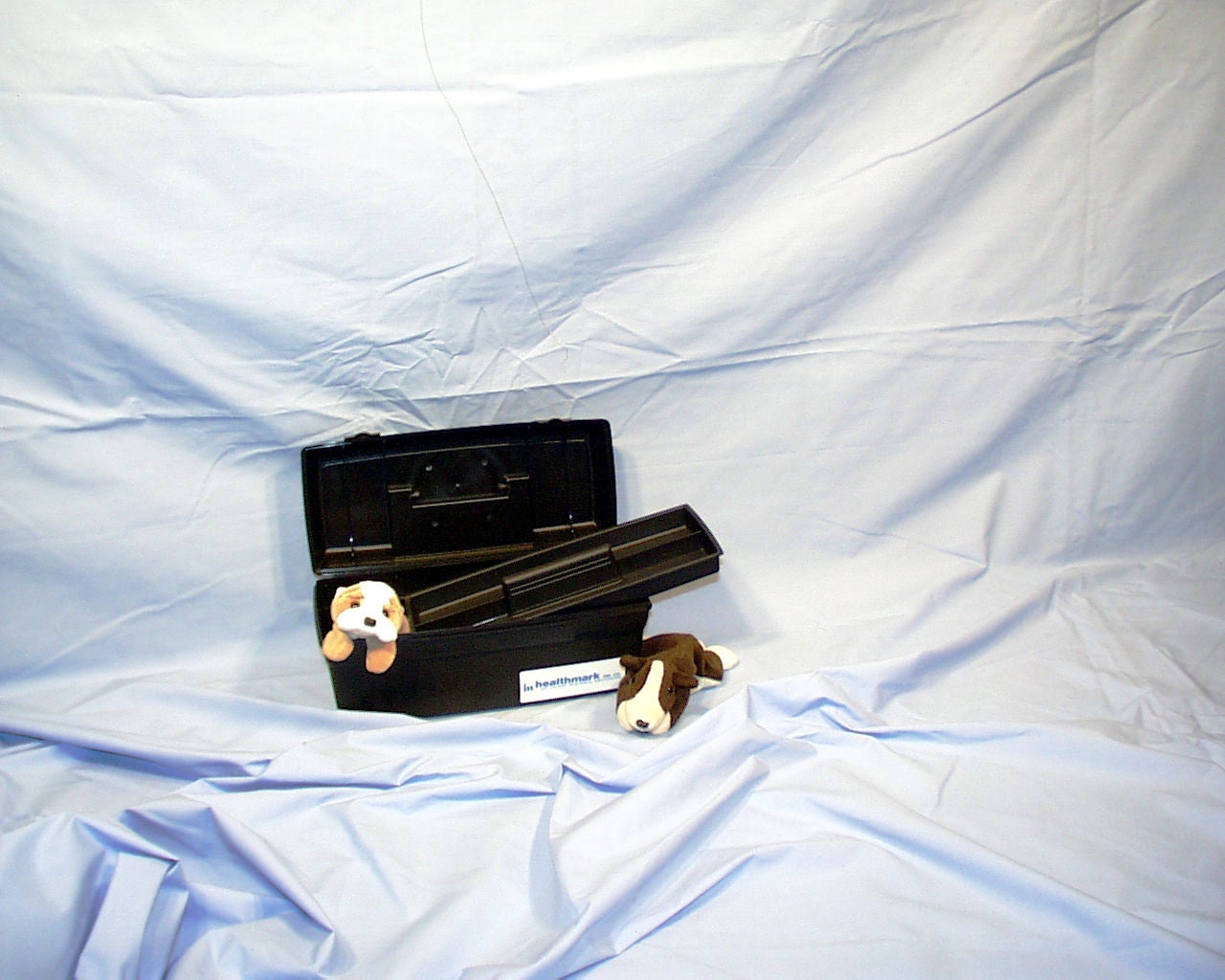Healthmark Industries - 1310-2 BK Medical Box Black 5.625 X 6 X 13 Inch