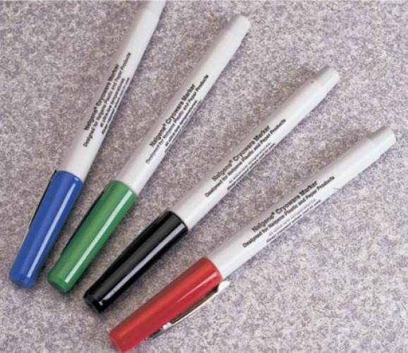 Fisher Anatomical - 1338252 Permanent Marker Thermo Scientific™ Assorted Colors Cap