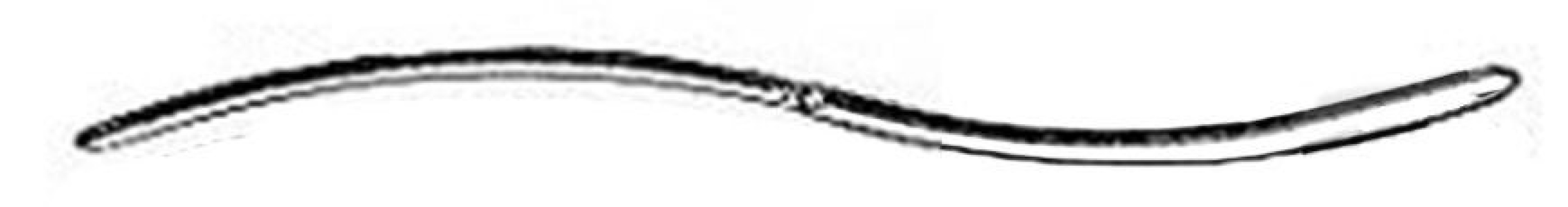 Integra Lifesciences - MH30-555-34 Uterine Dilator MeisterHand 3 Fr. / 4 Fr. Hegar 7-1/2 Inch Length Stainless Steel NonSterile