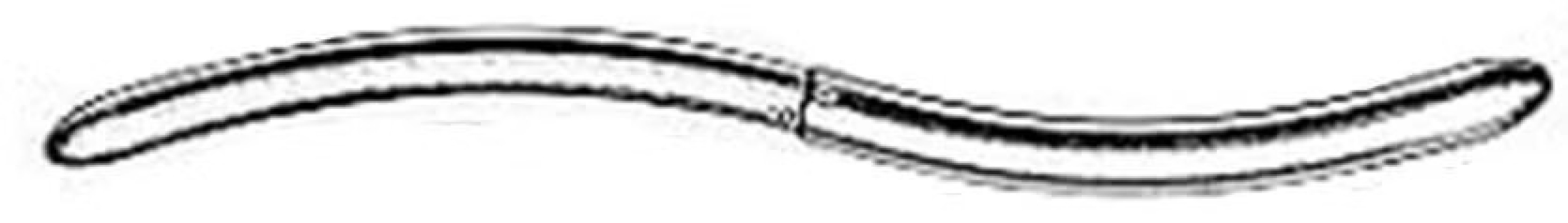 Integra Lifesciences - MH30-555-910 Uterine Dilator MeisterHand 9 Fr. / 10 Fr. Hegar 7-1/2 Inch Length Stainless Steel NonSterile