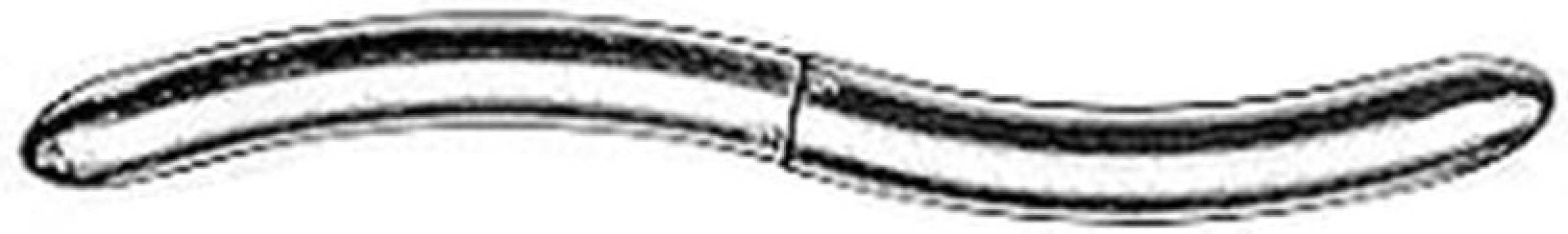 Integra Lifesciences - MH30-555-1516 Uterine Dilator MeisterHand 15 Fr. / 16 Fr. Hegar 7-1/2 Inch Length Stainless Steel NonSterile