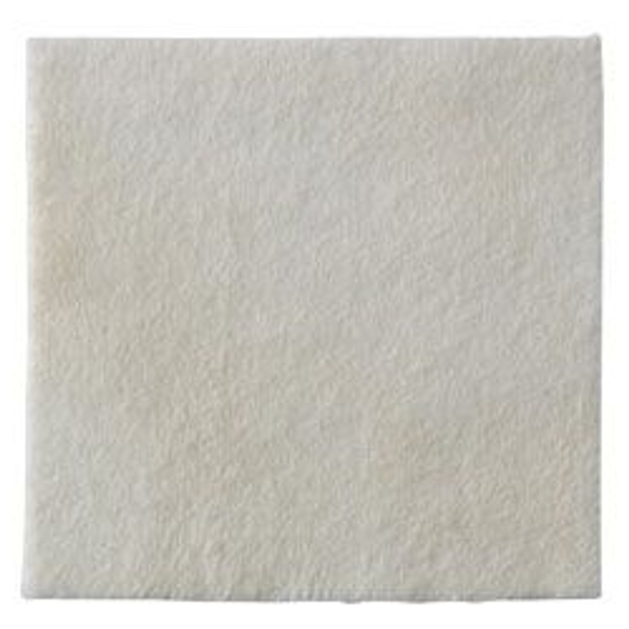 Coloplast - 3765 Biatain® Ag Calcium Alginate Dressing with Silver