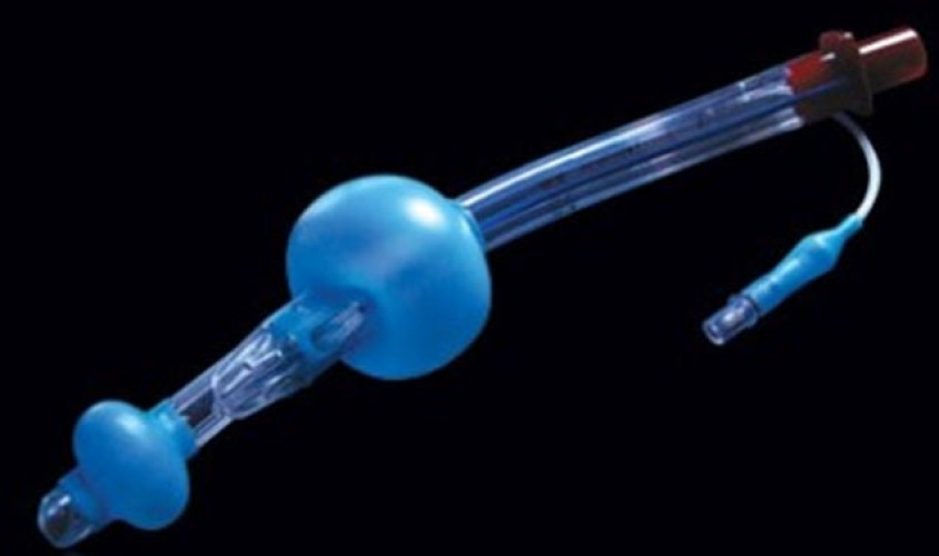Ambu - KLTSD423 Supralaryngeal Airway Ambu® King LTS-D™ Size 4 to 5 Foot Adult Cuffed
