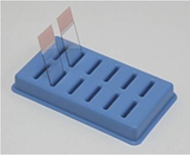 Fisher Anatomical - 22038396 Slide Holder 6-5/8 X 3-7/8 X 7/8 Inch, Blue, Polypropylene For Drying / Draining Slides