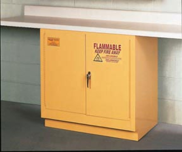 Fisher Anatomical - 19038431 Cabinet Fisher Scientific Free Standing Steel Without Drawers 1 Shelf Keyed Lock