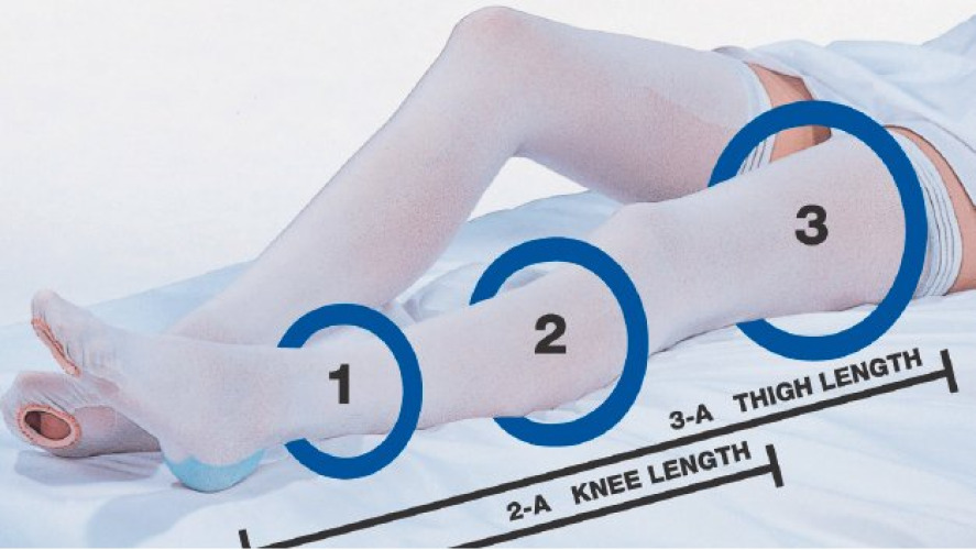 Carolon Company - 640 CAP® Thigh High Anti-embolism Stockings