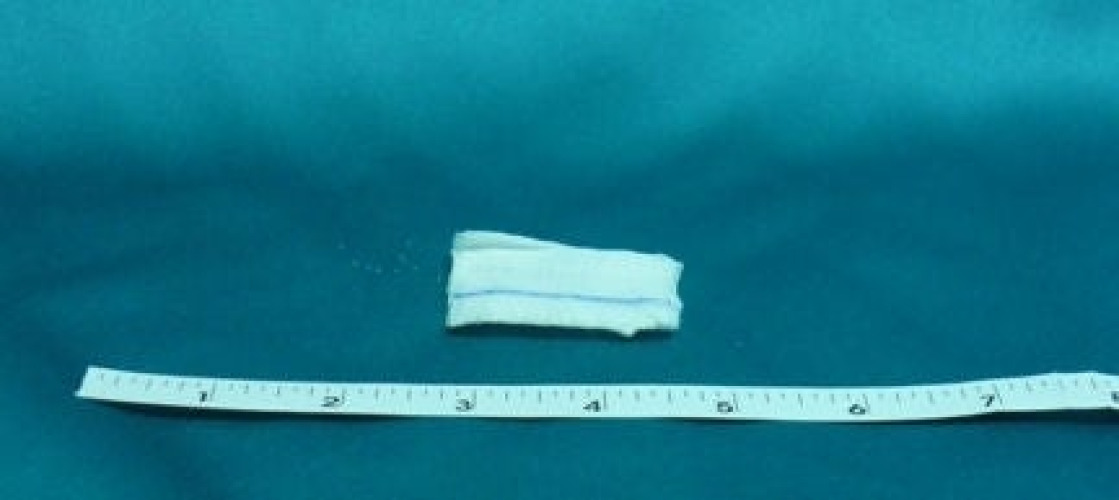 Bioseal - 7320/50 Gauze Sponge Bioseal® 2 X 2 Inch 12-Ply Sterile X-Ray Detectable 10 per Pack