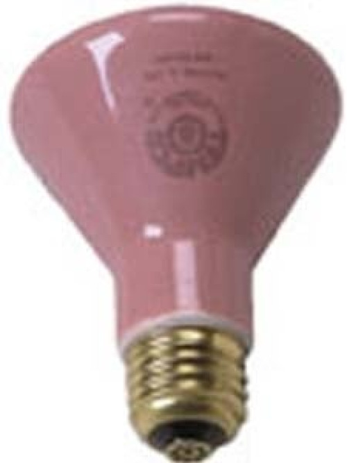 Brandt Industries - 054 Infrared Lamp Replacement Bulb 250 Watt