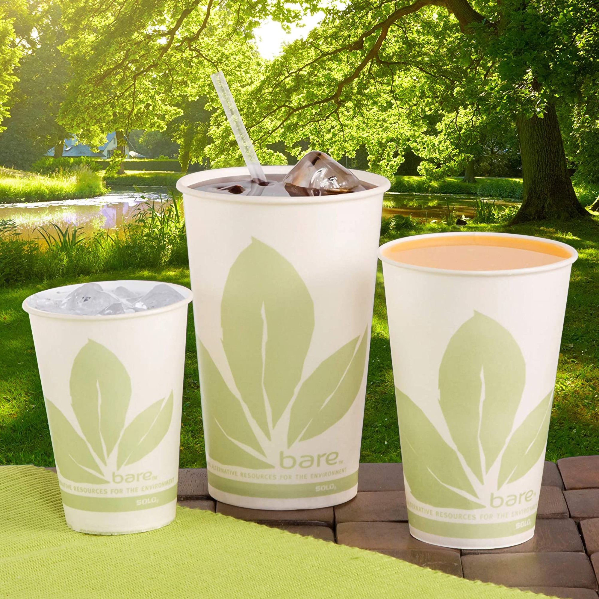 RJ Schinner Co R12BB-JD110 - Bare® Eco-Forward® Drinking Cup, 12-ounce capacity - 1/Pack