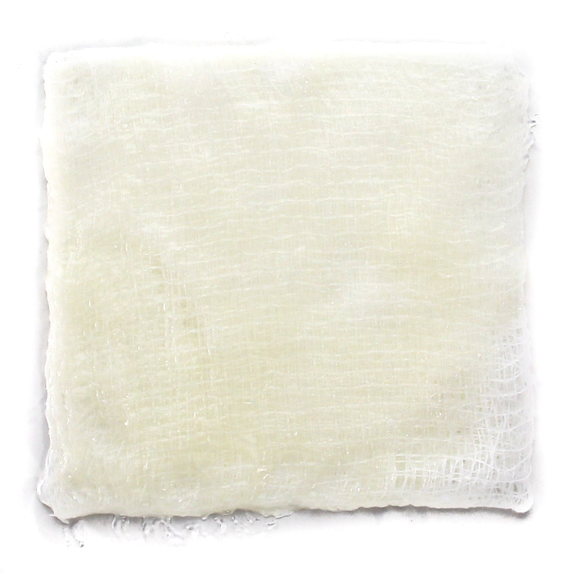 DermaGauze Hydrogel Wound Dressing 00240E by Sion Brands