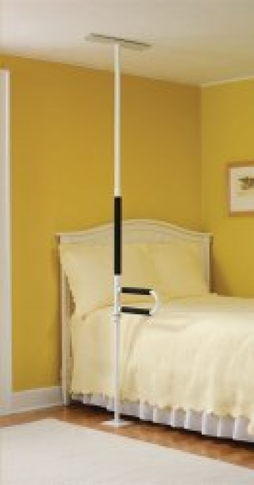 Security Pole 081229244 by Performance Health