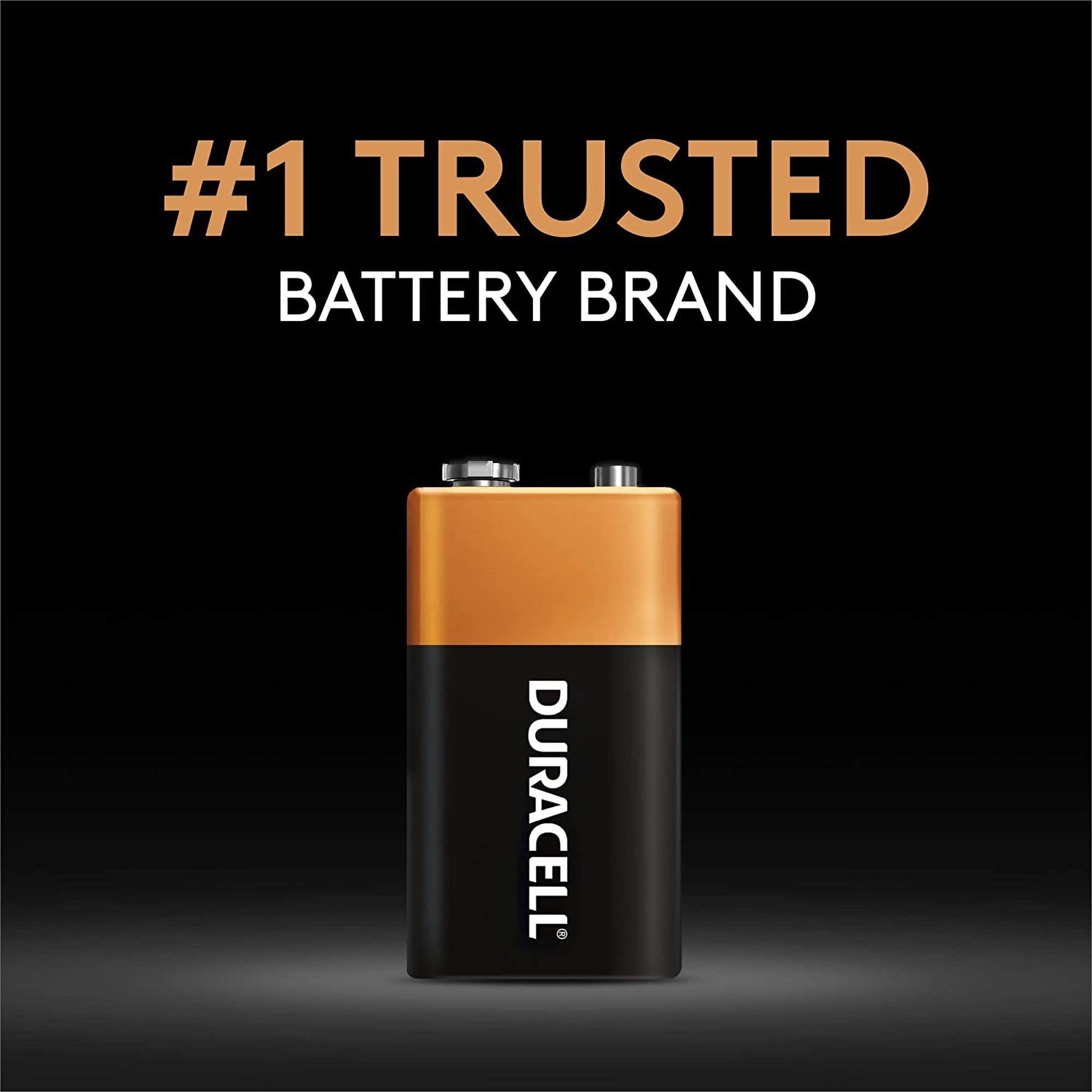 Duracell Coppertop Alkaline Battery 04133311601 by Procter & Gamble