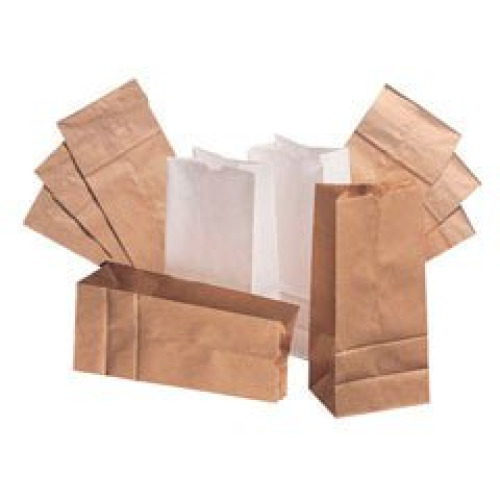 Essendant Co-United Stationers - BAGGW4500 White Paper Bag